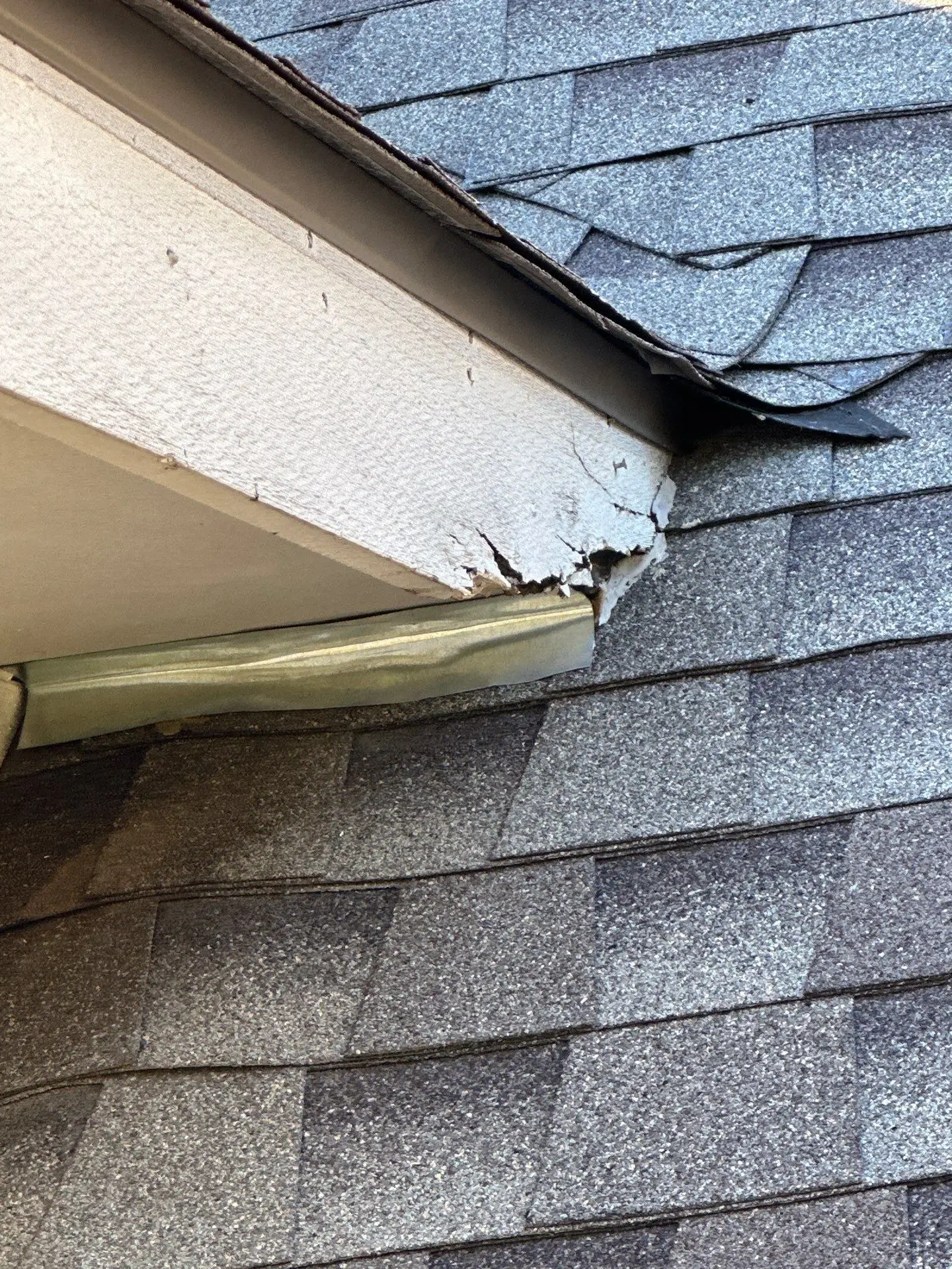 Rodent damage repair in Pflugerville