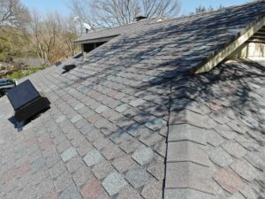 F Wave Designer Slate Shingles in Colonial Estate