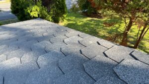 F Wave Designer Shingles in Hampton Estate