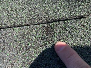 Fresh hail on old shingle