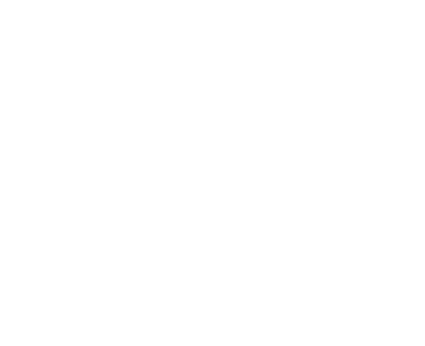 City of Austin official logo.