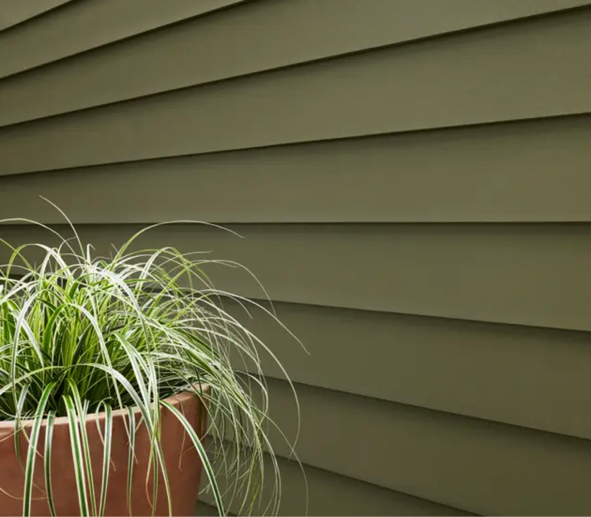 Green siding with a potted plant in front.