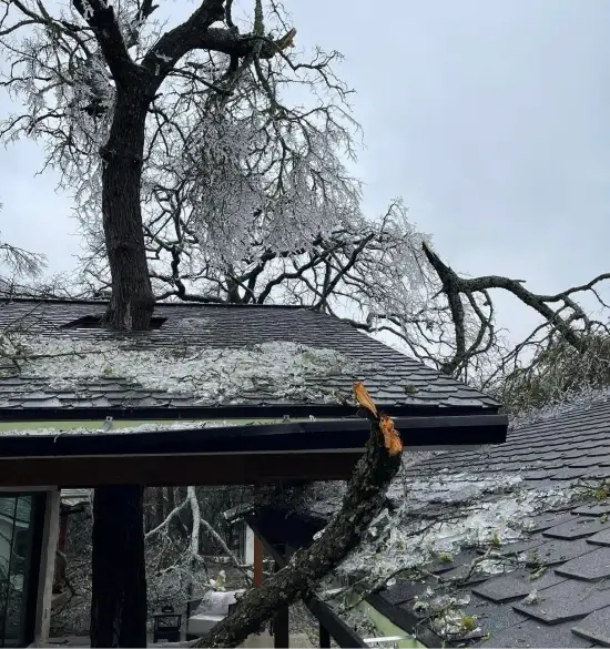 A fallen tree on a roof covered in ice after a winter storm.